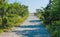 Rustic trail through lush greenery in Massachusetts