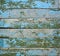 Rustic turquoise wooden background with horizontal planks