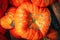 Rustic Ugly Pumpkin Autum Background with unusal pumpkin on top of the a stack