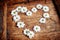 Rustic Valentines heart of white spring daisies