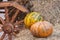 Rustic vintage autumn, fall background with ripe large ribbed pumpkins on straw near wooden wheel of cart, vintage