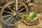 Rustic vintage farm spring decoration with an old chariot dray cart farm wagon