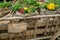 Rustic vintage farm spring decoration with an old chariot dray cart farm wagon and flowers