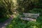 Rustic weathered bench in the woods in the summer