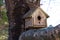 Rustic Weathered Birdhouse on Tree Branch