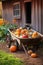 Rustic Wheelbarrow with Fall Harvest