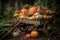 a rustic wheelbarrow filled with pumpkins and gourds