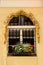 A rustic window with a collar from spikes and straw and wheat arround