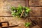 Rustic wire basket filled with fresh potherbs