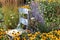 Rustic Wood Chair in a Wildflower Garden