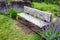 Rustic wood garden bench surrounded by ornamental grasses and the blooming purple flowers of salvia and catmint