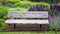 Rustic wood garden bench surrounded by ornamental grasses and the blooming purple flowers of salvia and catmint