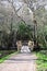 Rustic wood walkway bridge.