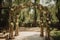 rustic wooden archway, decorated with vines and flowers for elegant wedding