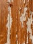Rustic wooden background with brown paint coming off