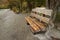 Rustic Wooden Bench Made of Timber Logs on the Lake Shore Among Fall Foliage in Tierra del Fuego National Park, Patagonia