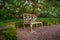 Rustic wooden bench underneath trees canopy