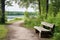 rustic wooden benches along a lakeside path