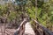 Rustic wooden bridge on the trails of the Curu Wildlife Reserve. Puntarenas, pacific of Costa Rica