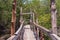 Rustic wooden bridge on the trails of the Curu Wildlife Reserve. Puntarenas, pacific of Costa Rica