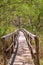 Rustic wooden bridge on the trails of the Curu Wildlife Reserve. Puntarenas, pacific of Costa Rica