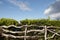 Rustic wooden fence with green vegetation blue sky in Azores