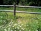 Rustic Wooden Fence Surrounding Meadow