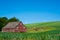 Rustic wooden red barn with modern wind turbines in the background