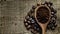 Rustic Wooden Spoon Scooping Freshly Roasted Sumatra Coffee Beans on Burlap Textured Background