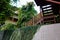 Rustic Wooden Staircase with Ivy in Lush Greenery, Gatlinburg Cabin