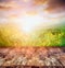 Rustic wooden table over yellow dandelion field and sunset sky, nature