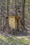 Rustic wooden toilet in the forest with a heart-shaped hole in the door boards.