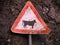 Rustic, worn, warning sign with picture of cow / cattle, against a rough stone wall