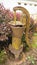 Rustic Yellow Well Pump - Antique