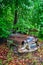 Rusting 1952 vintage Buick