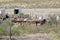 Rusting farm buildings, New Mexico