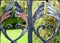 Rusting Gate Detail in a Country Park