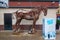 Rusting horse sculpture, Calgary, Canada