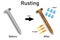 Rusting of iron nail experiment diagram