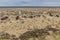 Rusting ships at the Ship Cemetery near Moynaq village at the former coast of Aral Sea, Uzbekist