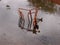 Rusting Shopping Cart in the river