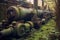 rusting tanks in a forgotten military graveyard