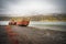 Rusty and abandoned old ship wreck from world war two laying on land in Mjoifjordur in Iceland.