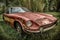 Rusty Abandoned Sports Car