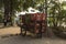 Rusty and abandoned transport cart, full of empty soda bottles.