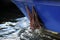 rusty anchor on a blue hulk over dark reflective sea water, detail as abstract port background with copy space