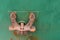 Rusty anchor on green boat or tanker. Detail of marine vessel with big anchor in sea port