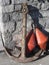 A rusty anchor and two orange conical buoys at the marina