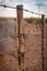 Rusty barb wire fence and old wood poles