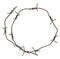 Rusty barbed wire circle isolated on white background